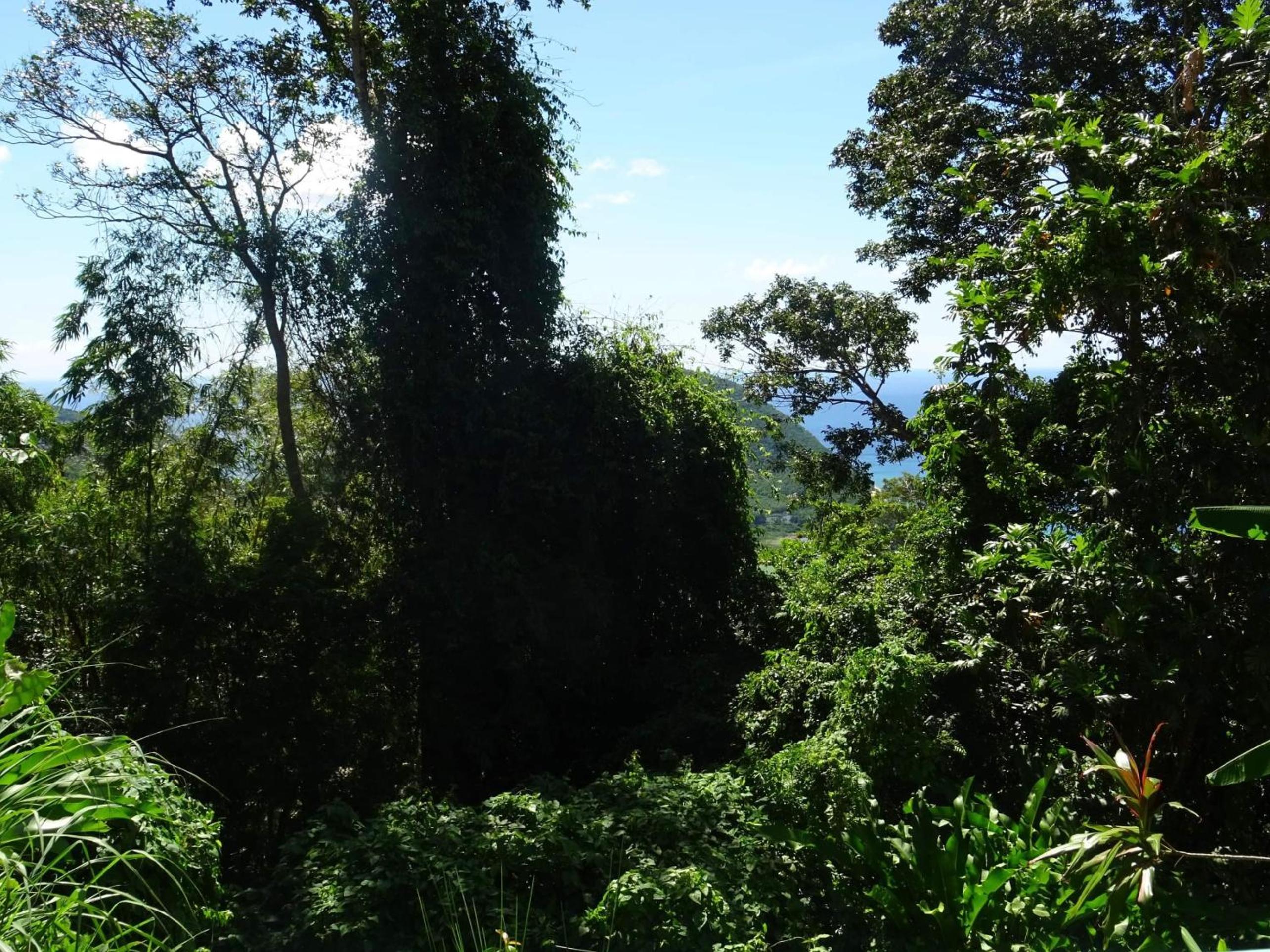 Bungalow DOUROU