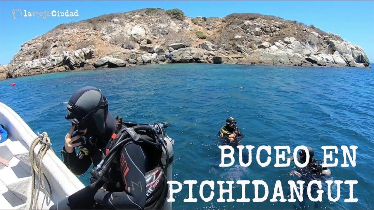 Cabaña en Pichidangui un Oasis de naturaleza y relajación