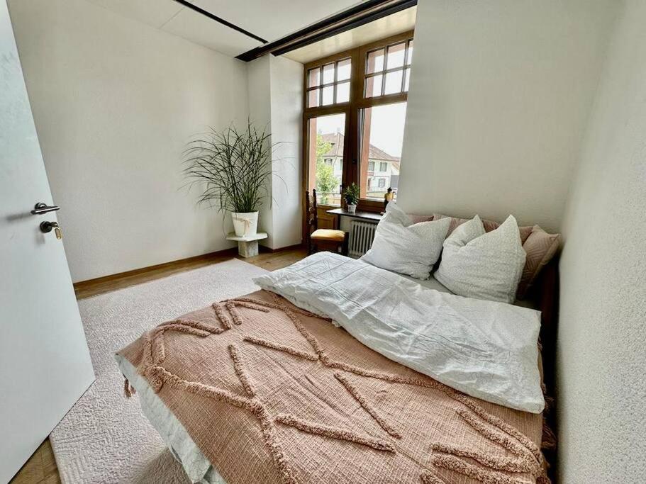 Schönes Apartment in Schöftland