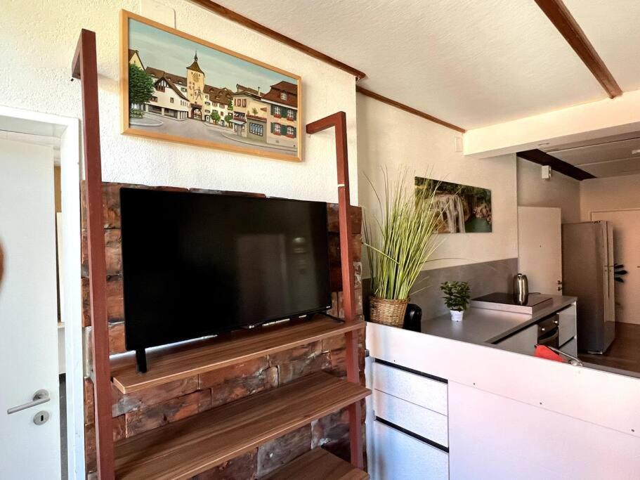 Schönes Apartment in Schöftland