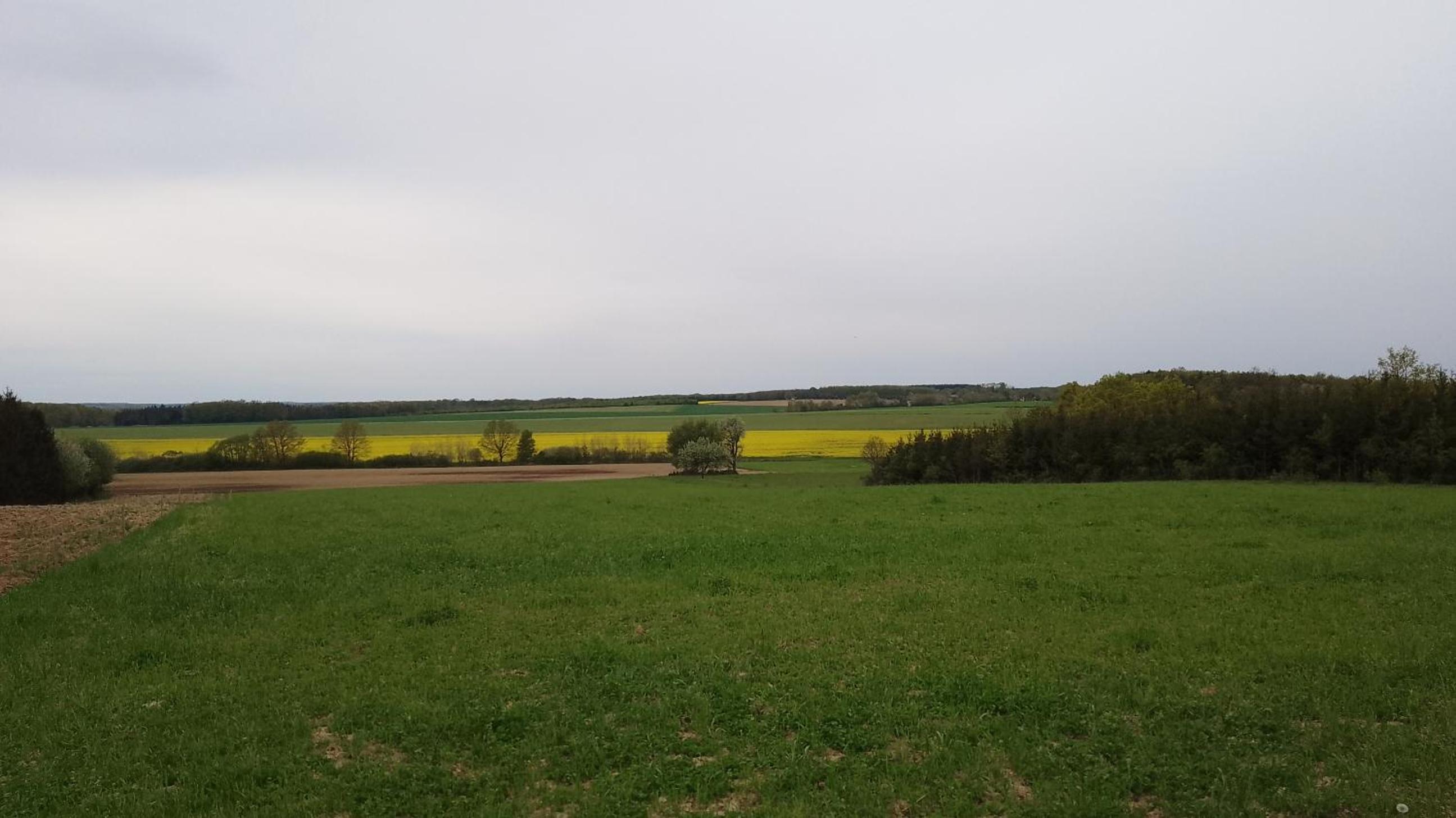 Photo 37