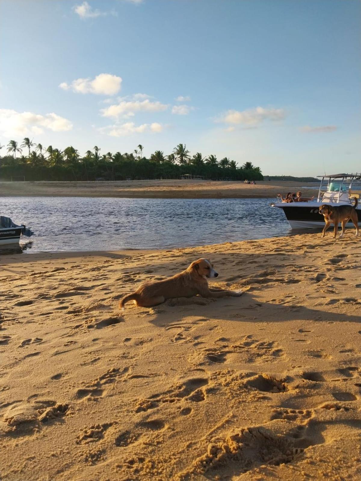 Chalé Vila Jasmim Caraíva bahia