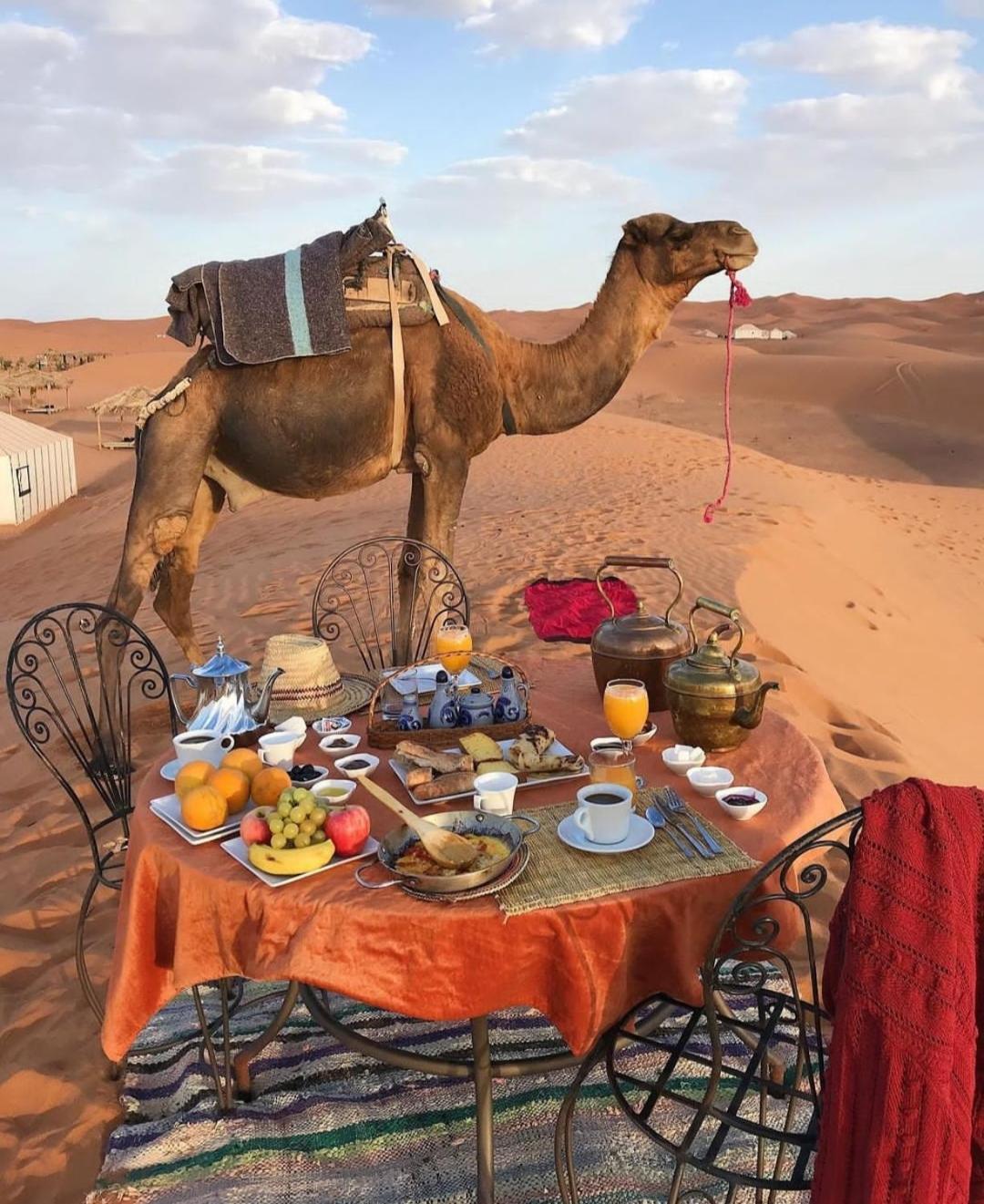 Sahara Luxury Glamping view 4