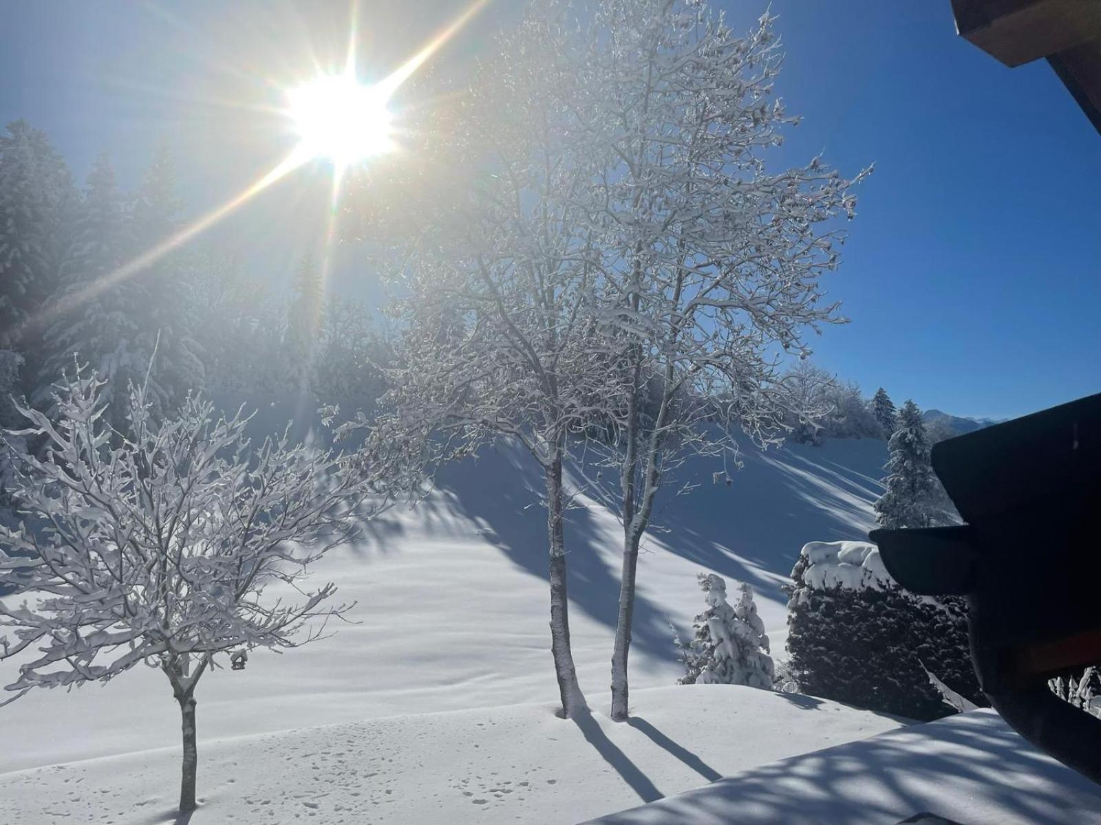 Chalet Niva