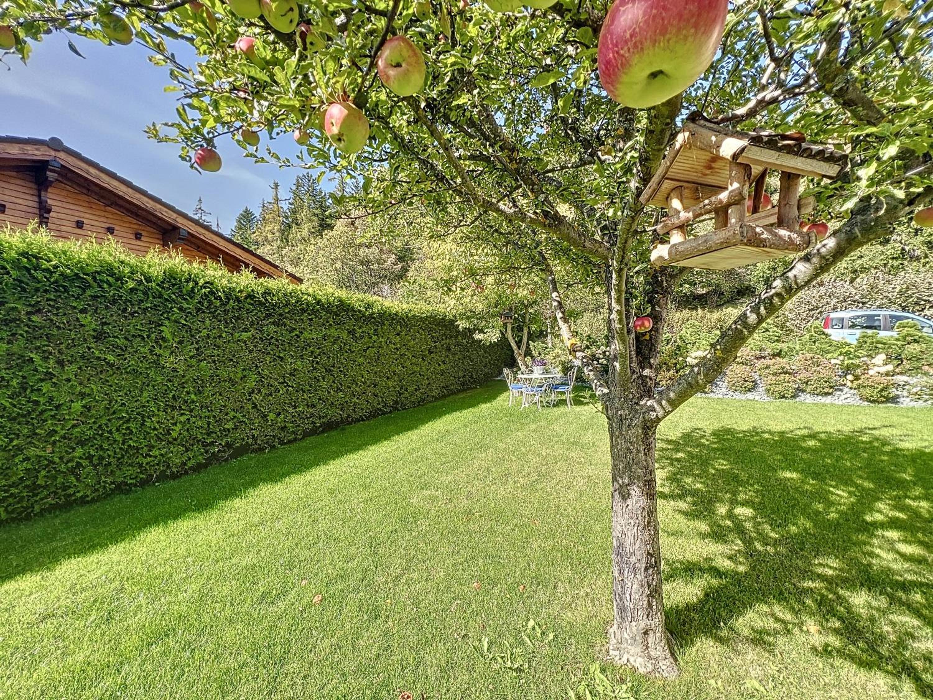 Chalet Niva