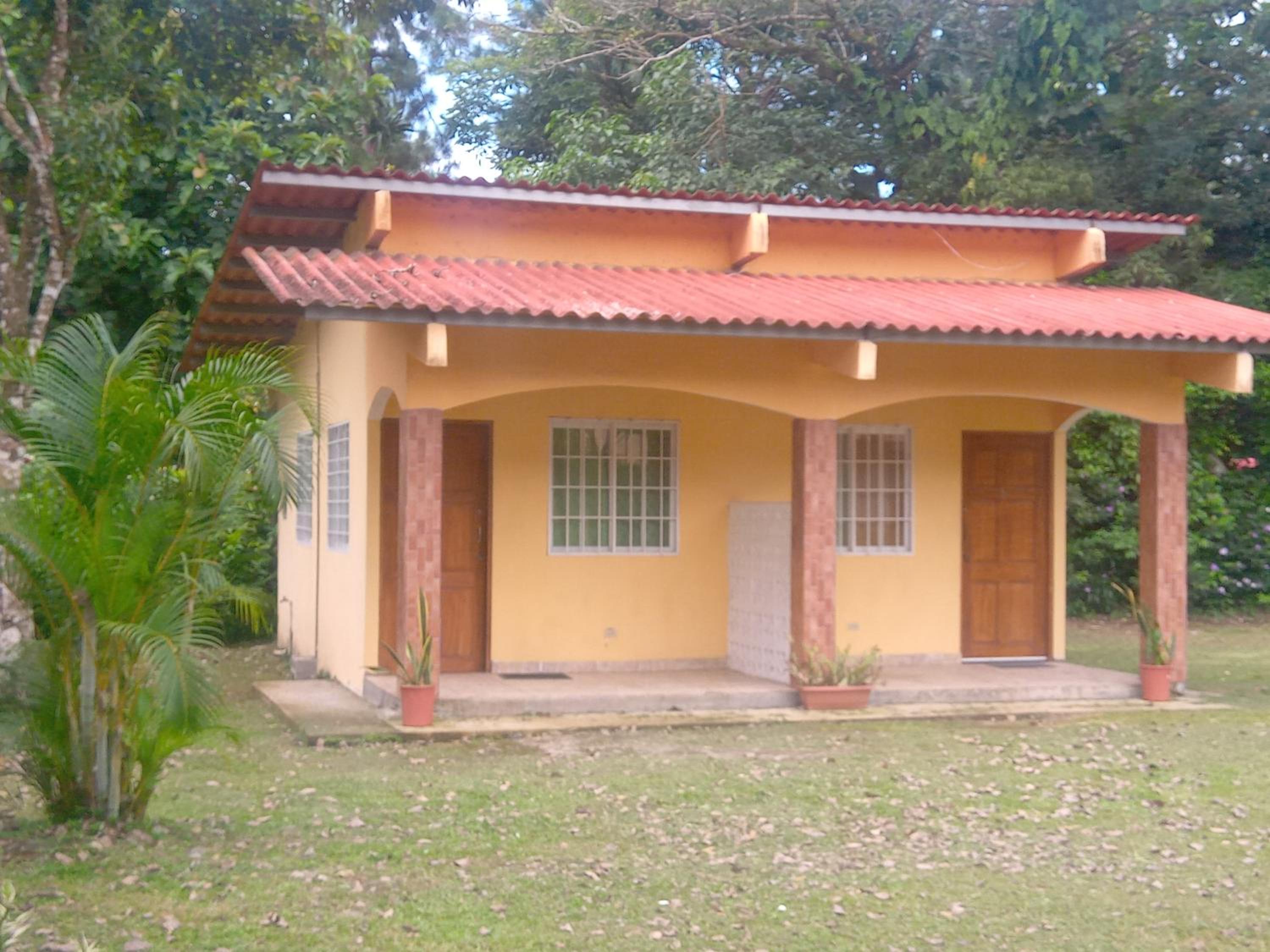 Photo 26
