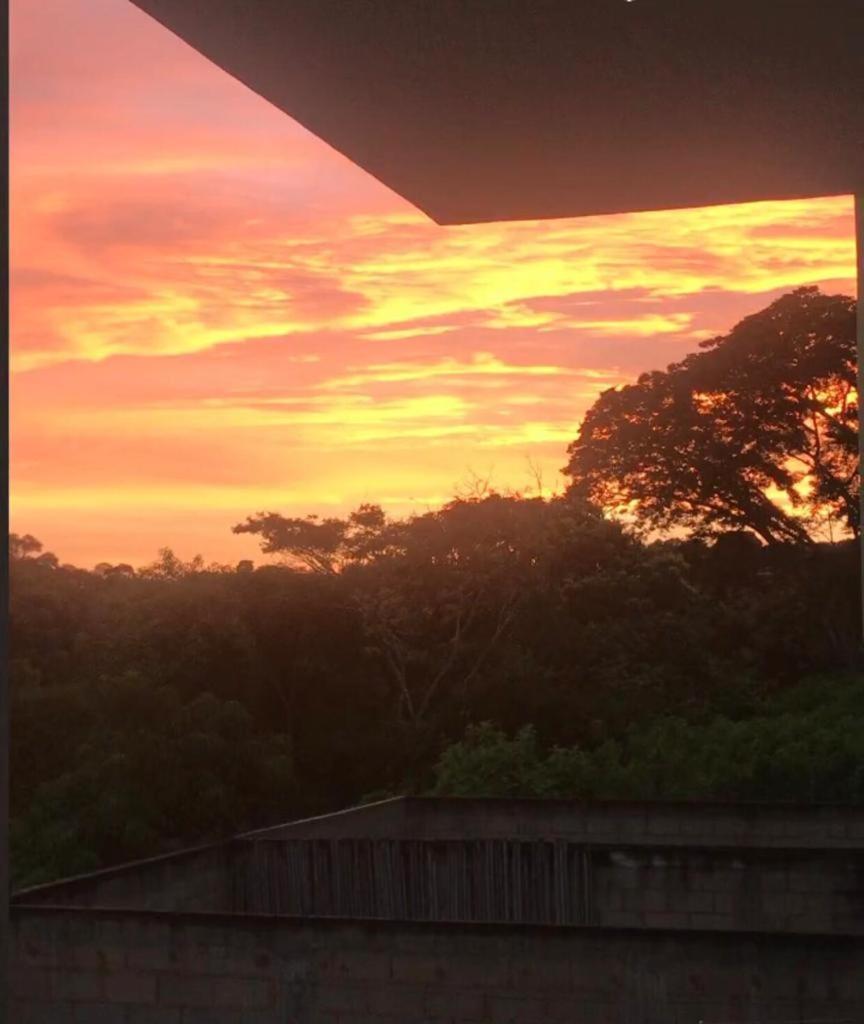 Casa de vidro com vista para a Mata Atlântica no Centro de Miguel Pereira