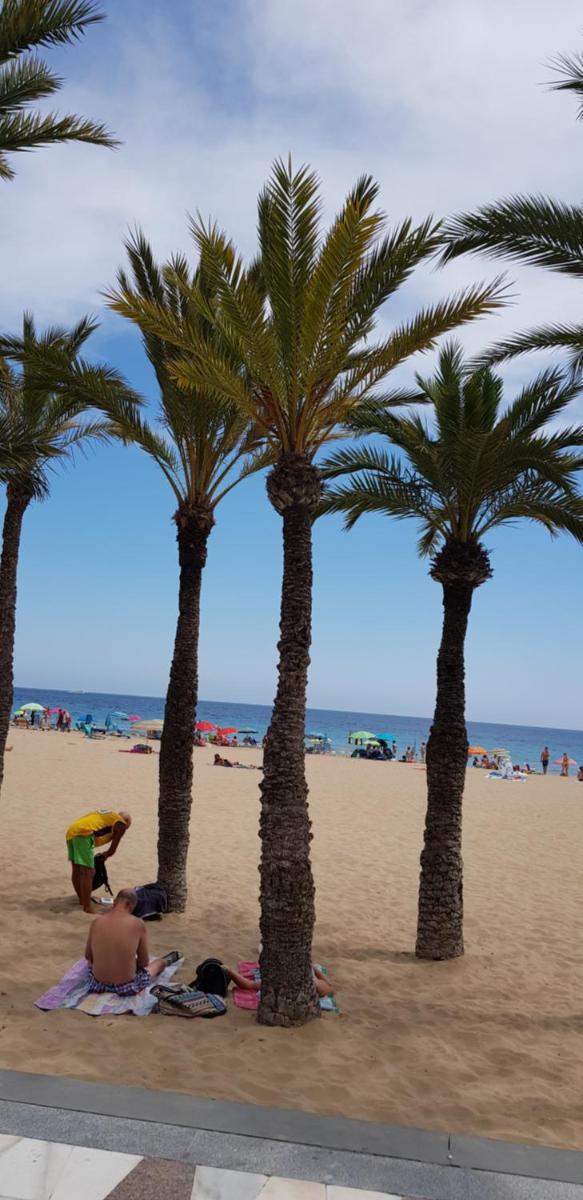 Benidorm Beach photo 3