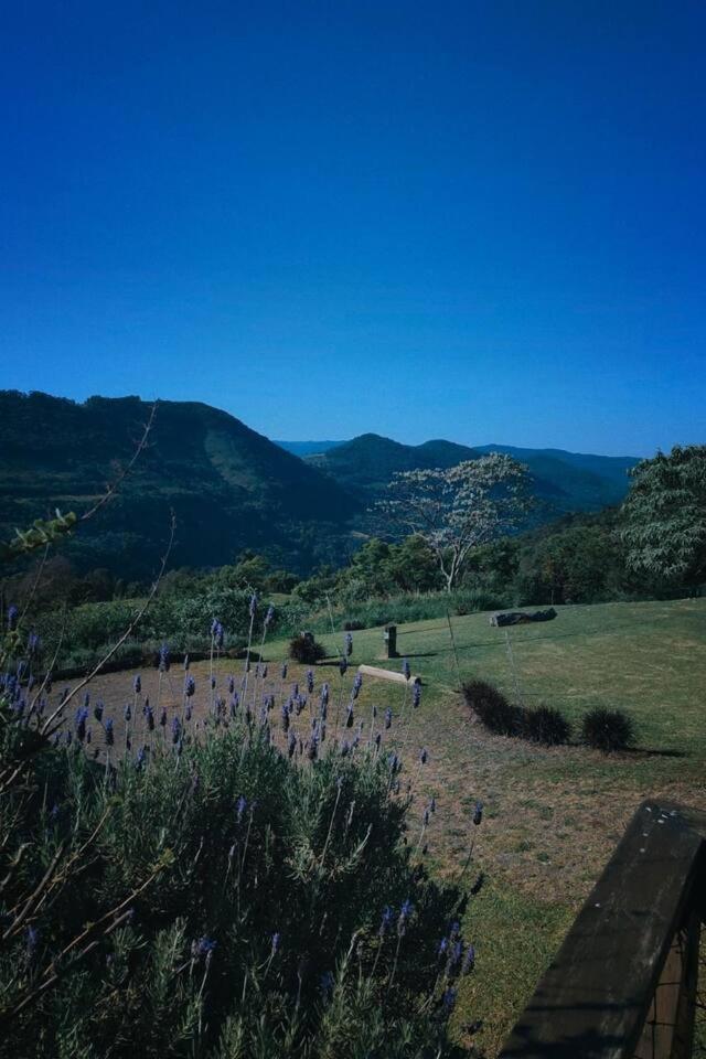Finca la pata casa de palha