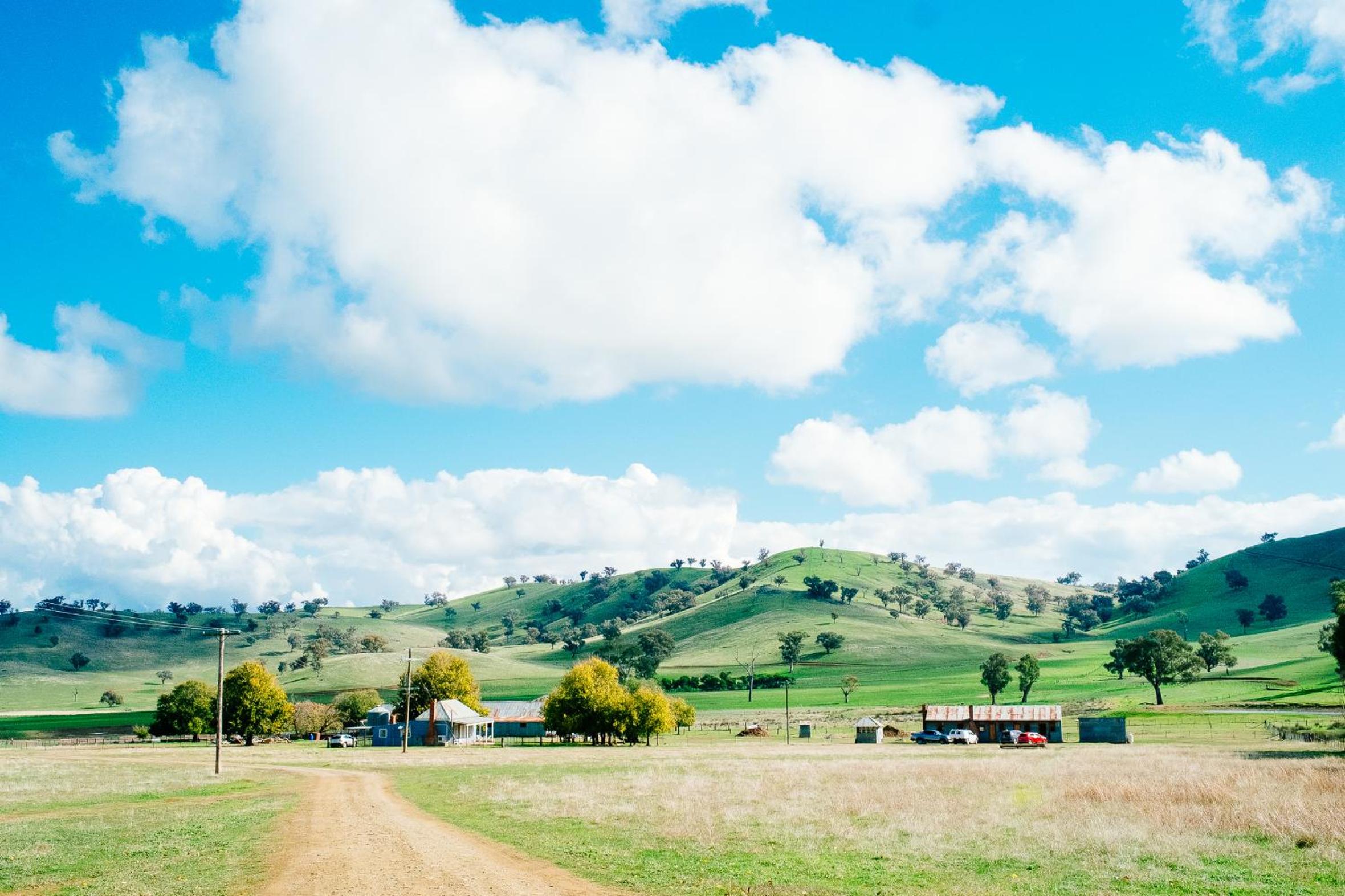 Kimo Estate