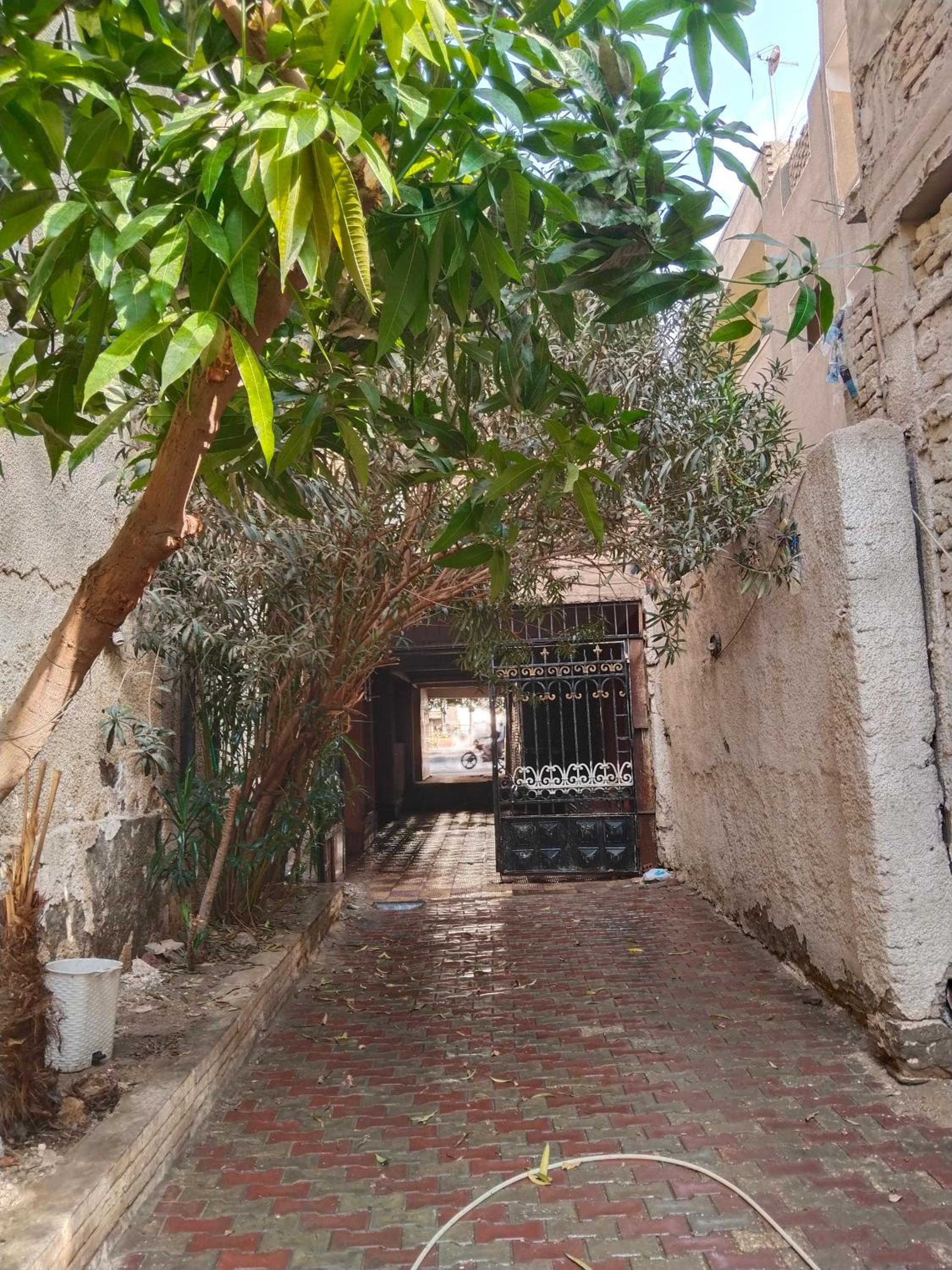 Giza view