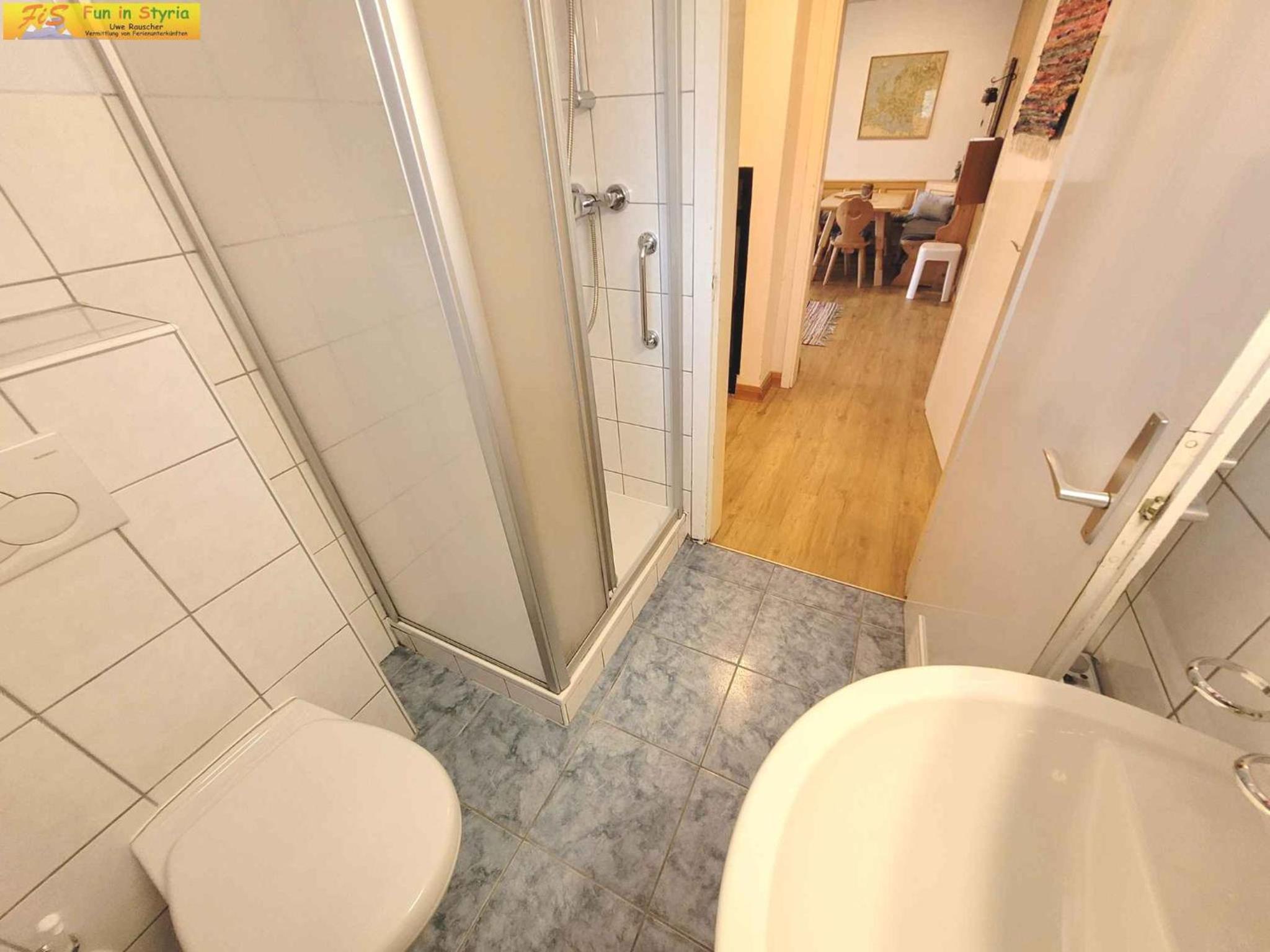 Holiday home in Bad Mitterndorf - Steiermark 41124