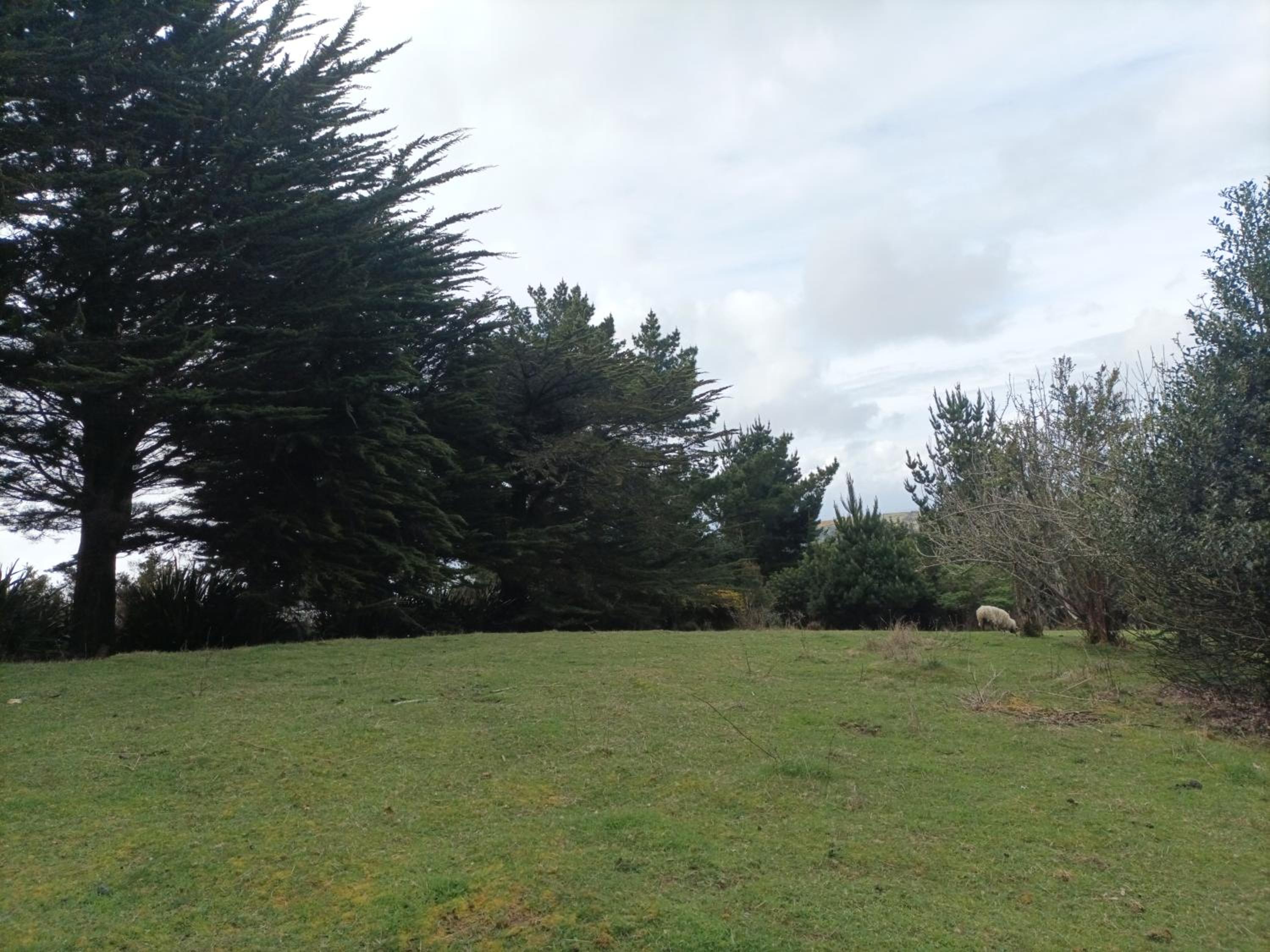 El Urco Chiloé - Cabaña El Caleuche
