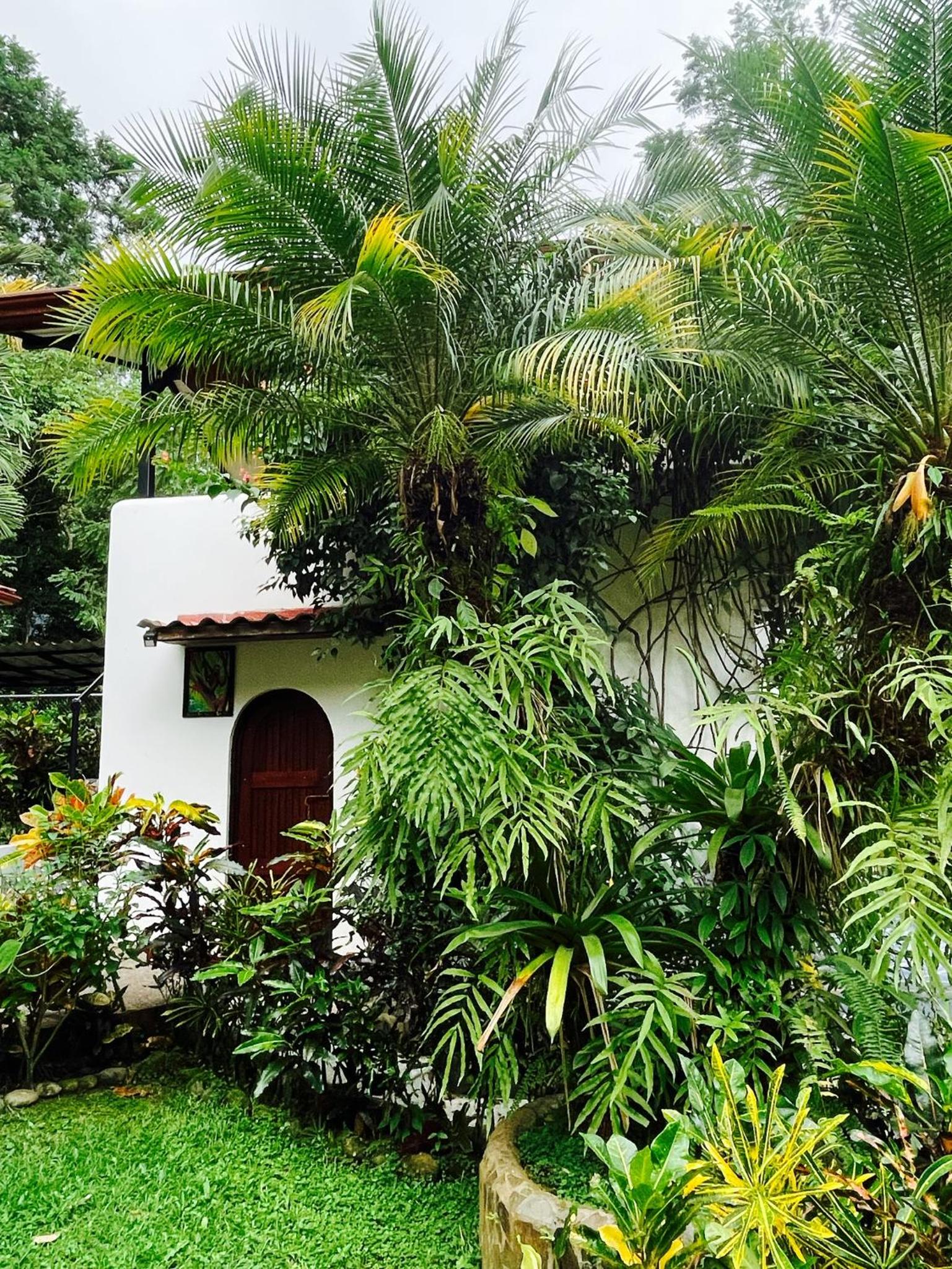 The Scarlet Villas