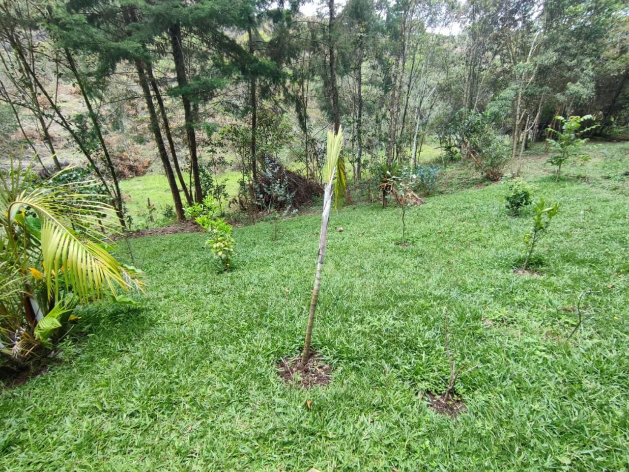cabaña paniym