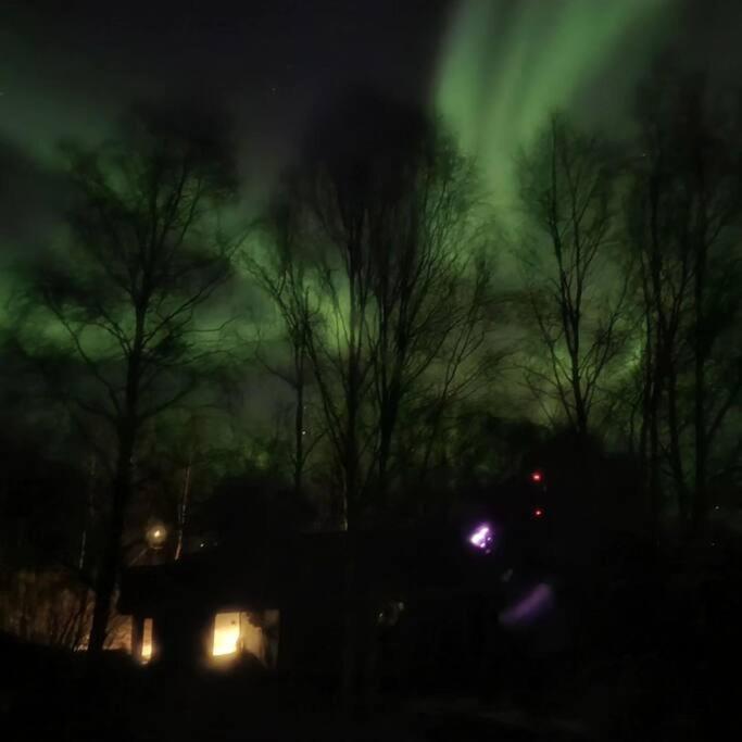Birch Tree Cabins view 3