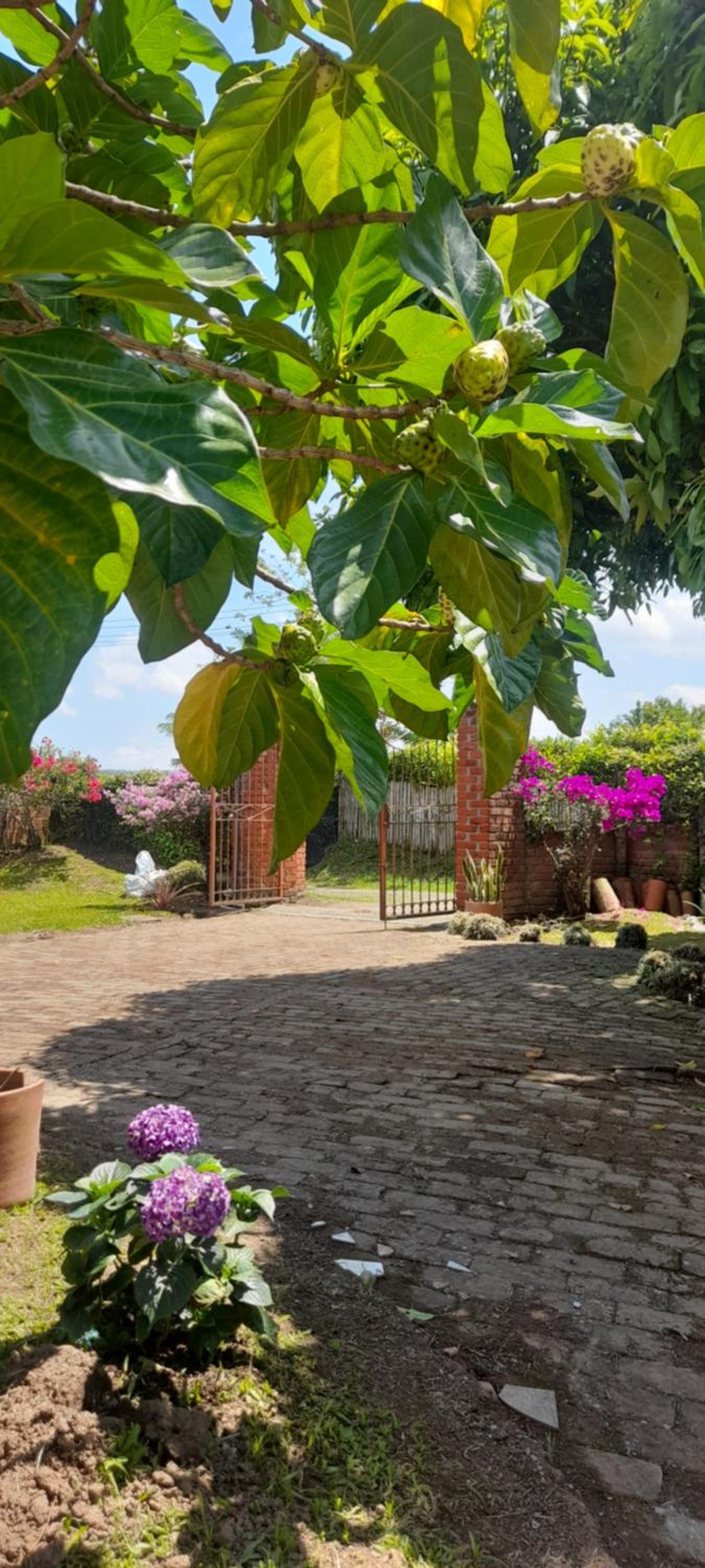 Villa Ines