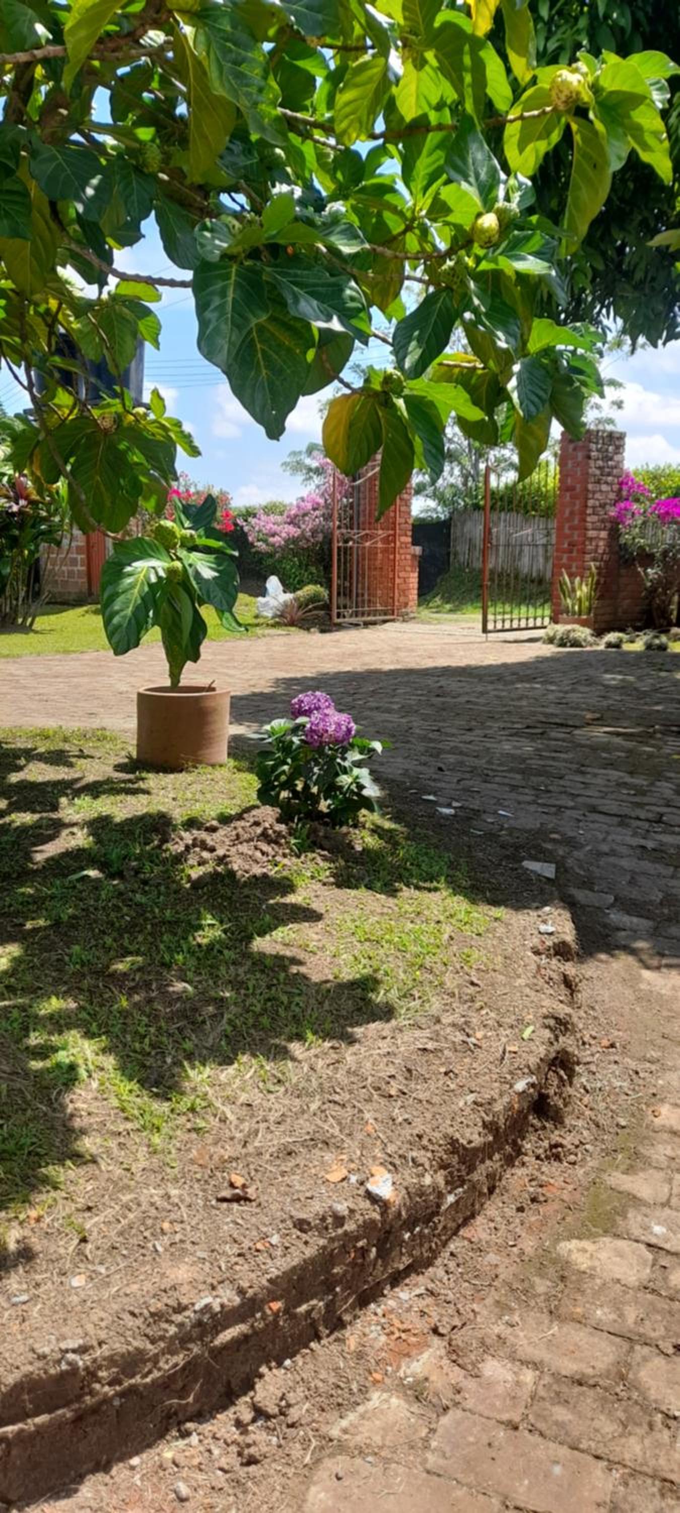 Villa Ines