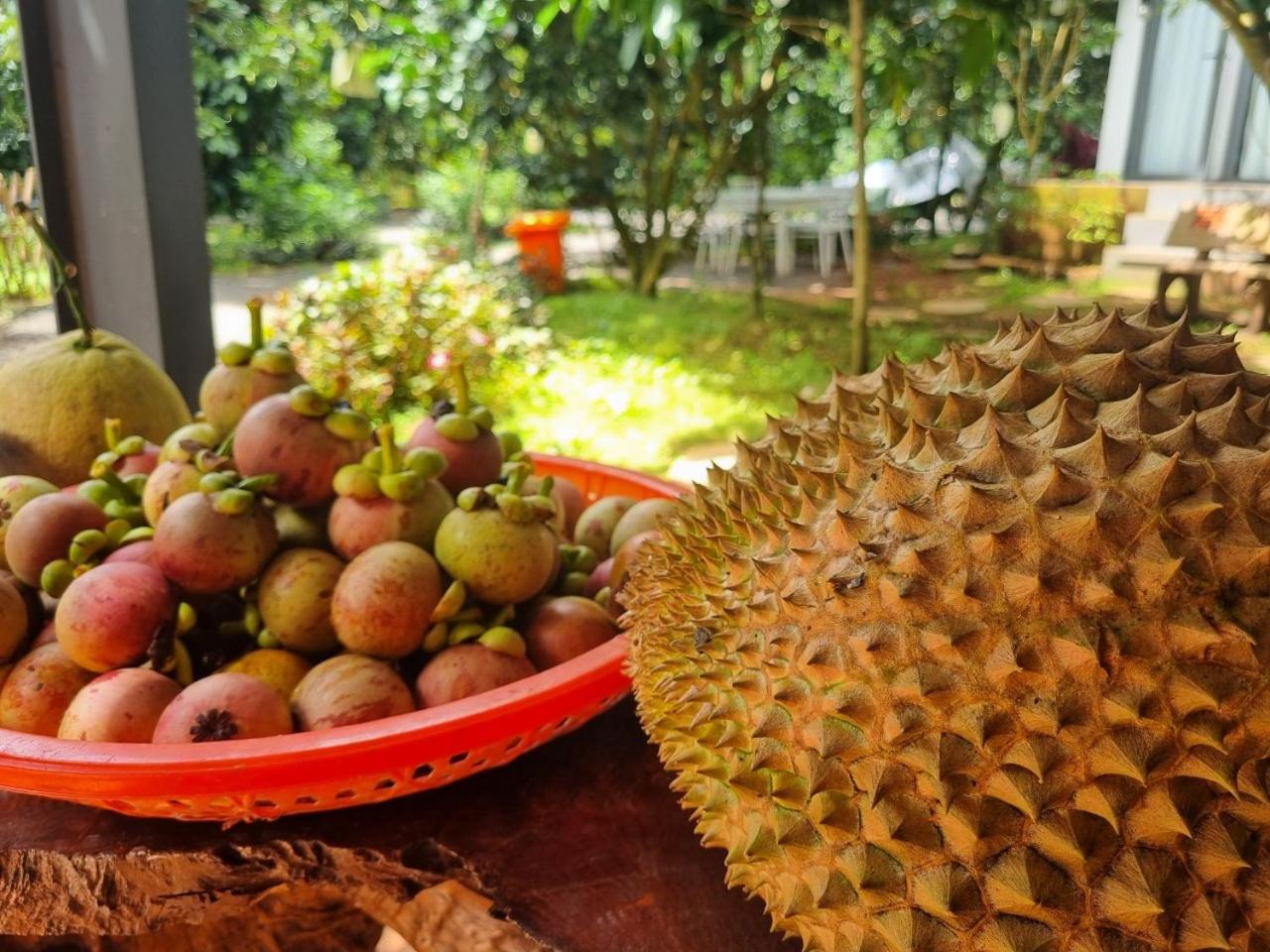 Homestay Vườn Trái Cây Nhiệt Đới VÔ ƯU GARDEN view 4