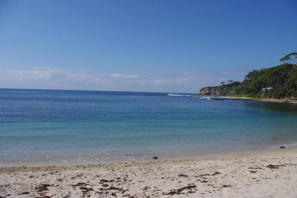 'Nirvana' - Beachfront Luxury Family Home Mollymook