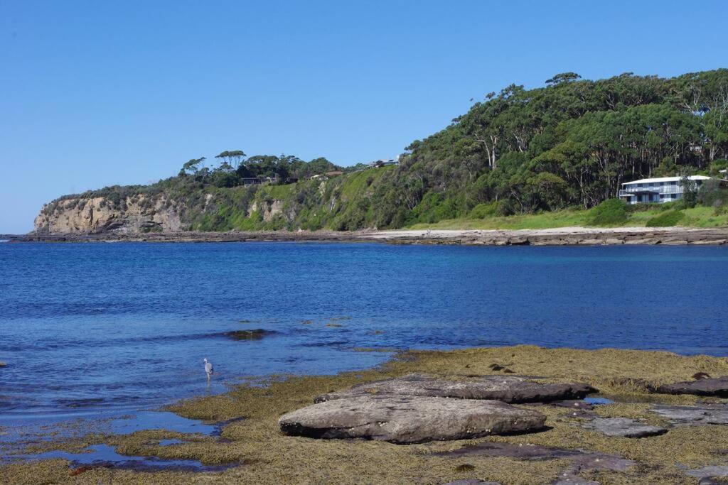 'Nirvana' - Beachfront Luxury Family Home Mollymook