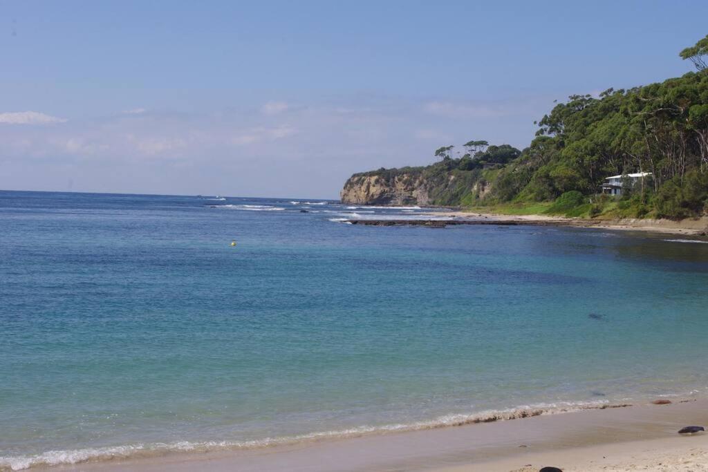 'Nirvana' - Beachfront Luxury Family Home Mollymook