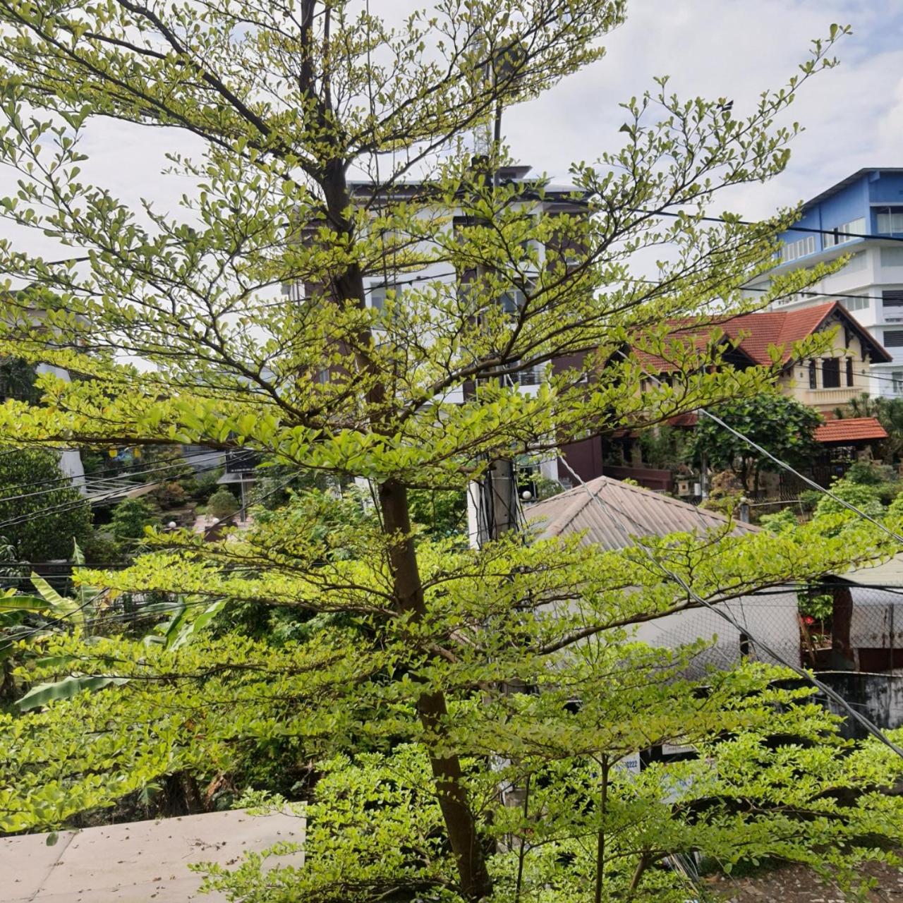 KENNPIA Homestay