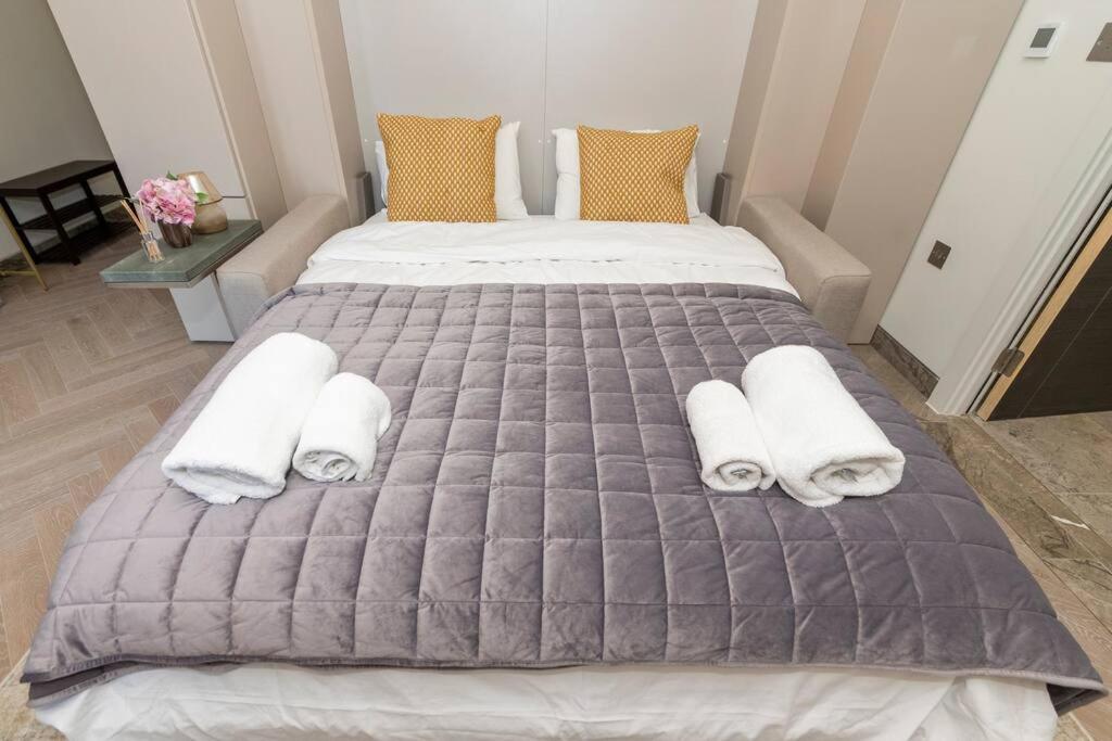 Charming Studio Flat in the Heart of Reading CHRL F1 view 5