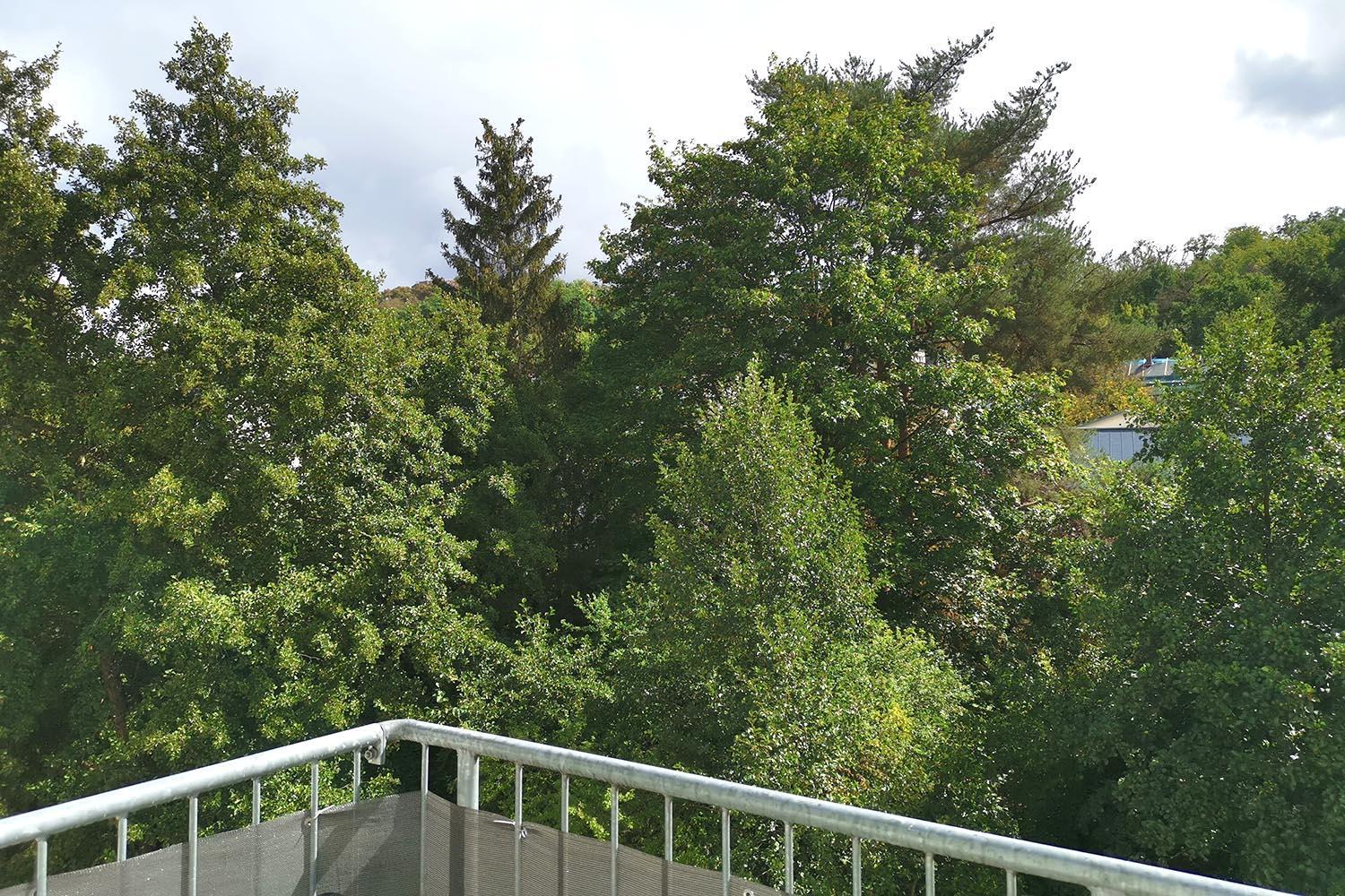 Spacious Apartment with Balcony & WiFi
