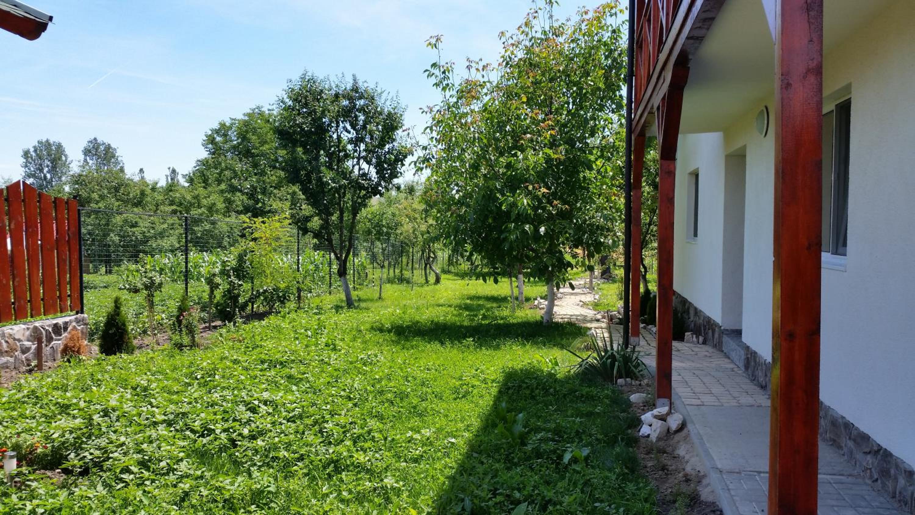 Casa Agnes Vendeghaz view 4