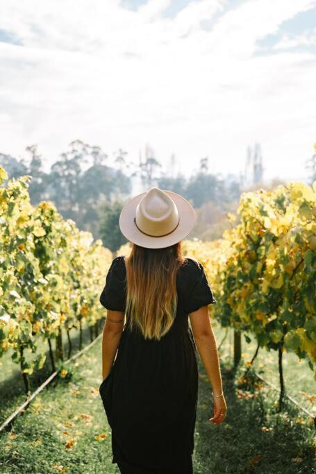 Meander Valley Vineyard Escape