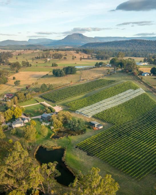 Meander Valley Vineyard Escape