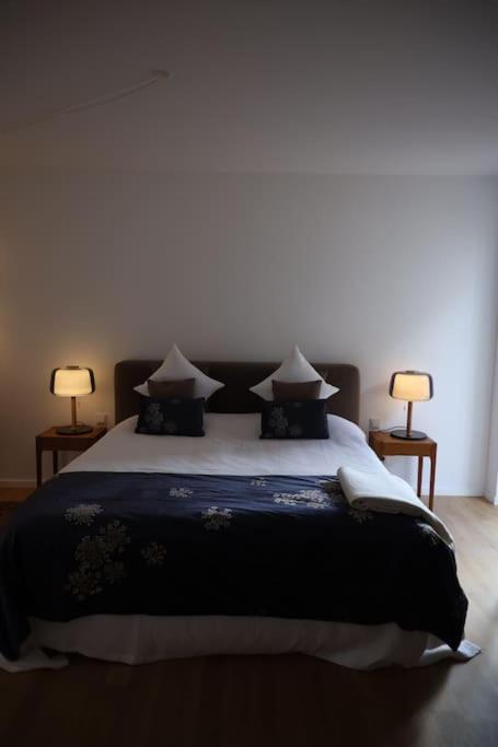 Allerinsel - Appartement am Celler Yachthafen