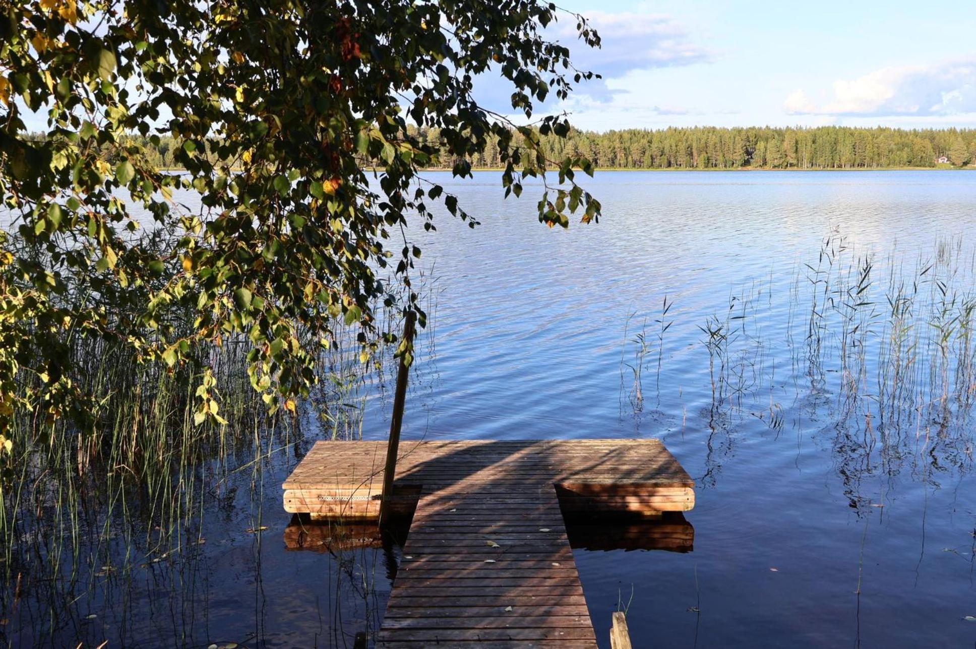 Kotatuli Forest Lodge