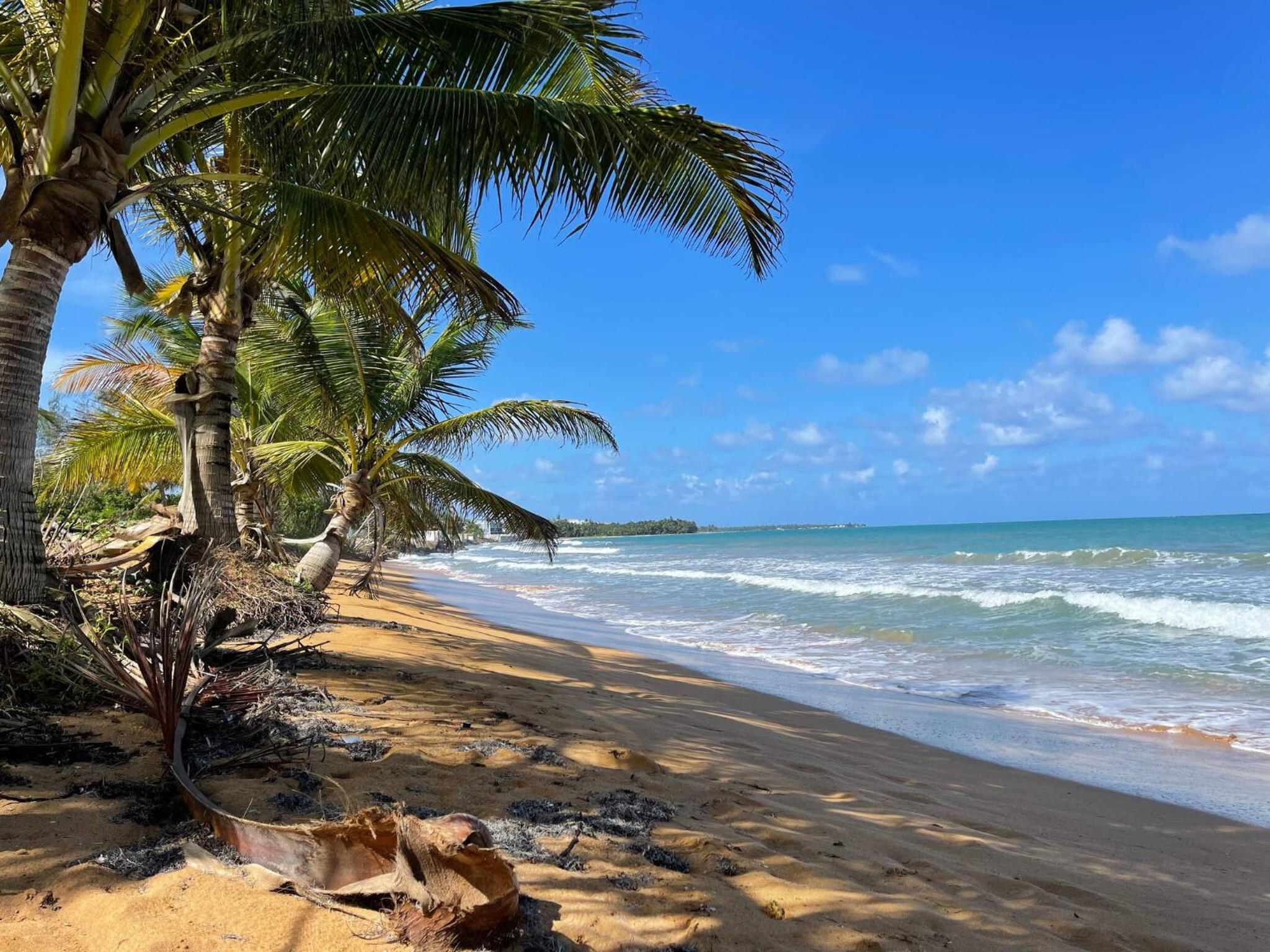 Beachfront Bliss 2-Bedroom Condo in Luquillo, Puerto Rico view 4