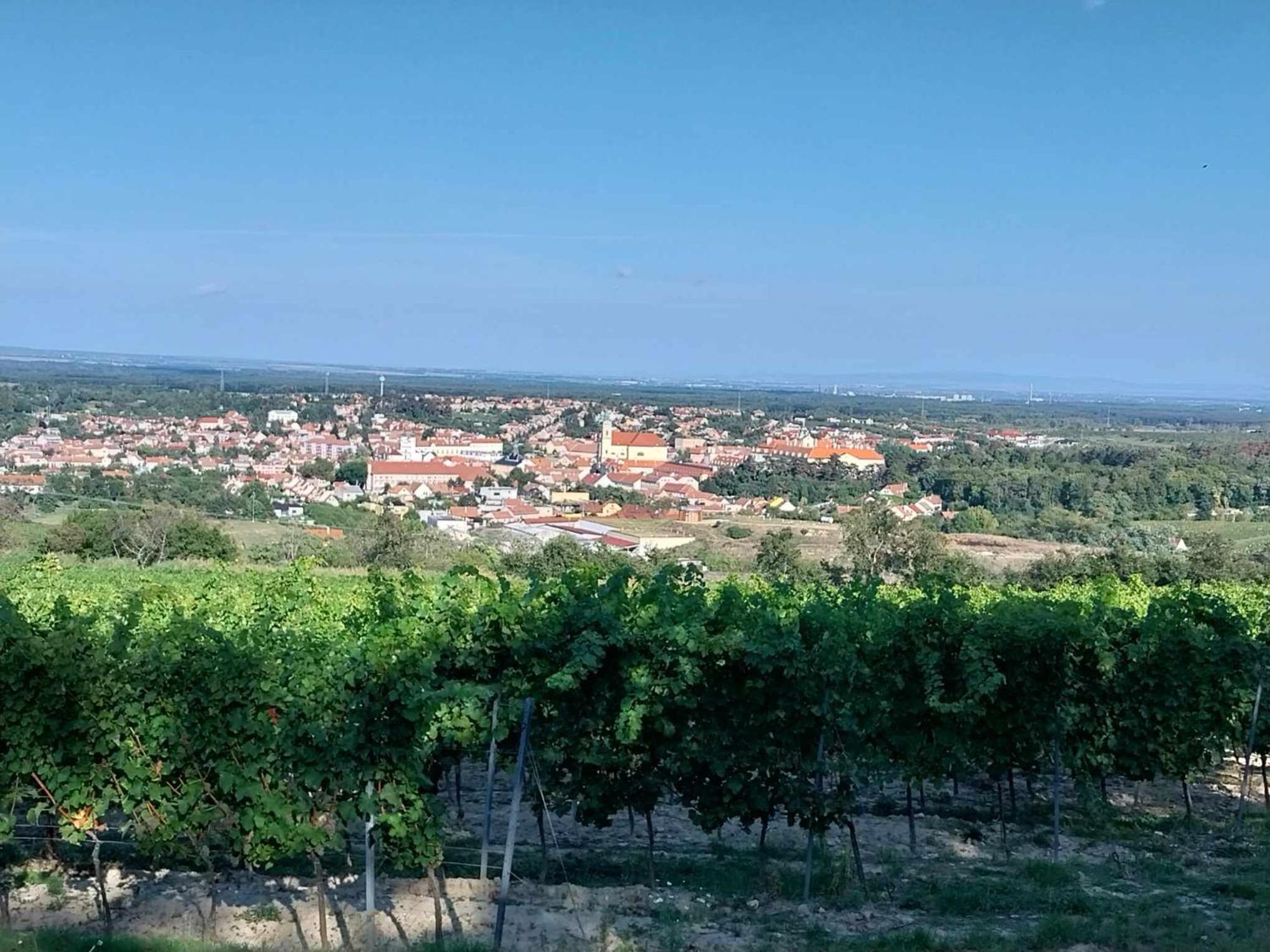 Apartmán Patrik