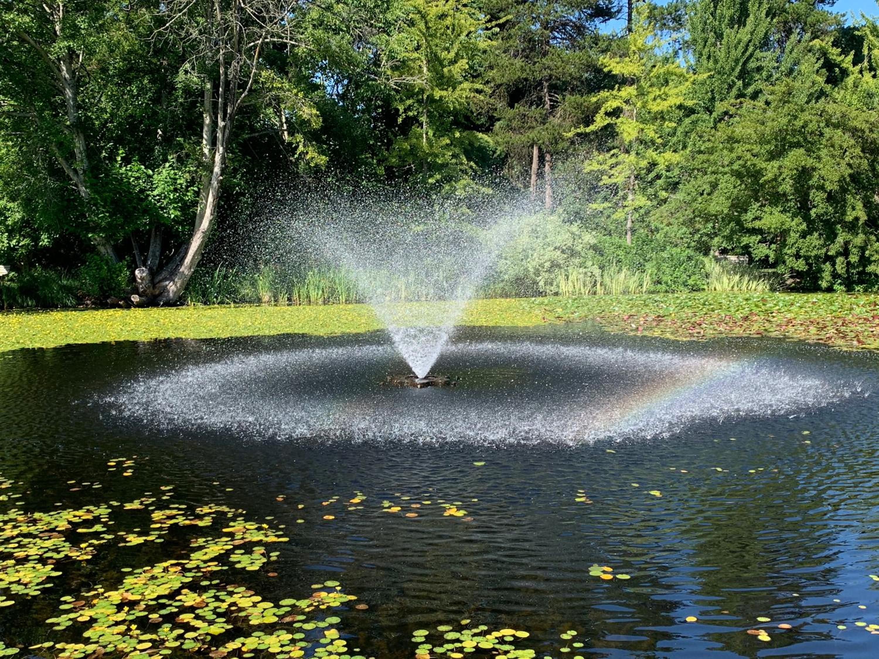 Vancouver Vacations - 2BR 1.5BA Full Kitchen Private Guest House - Free Parking - Central Location - Property Image 5