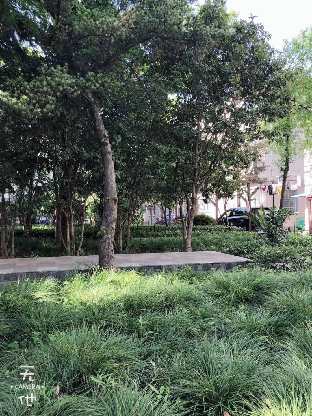 Chinese new year style Shanghai Garden Historical loft Apartment with courtyard and citywalk- Near Downtown Wukang Road