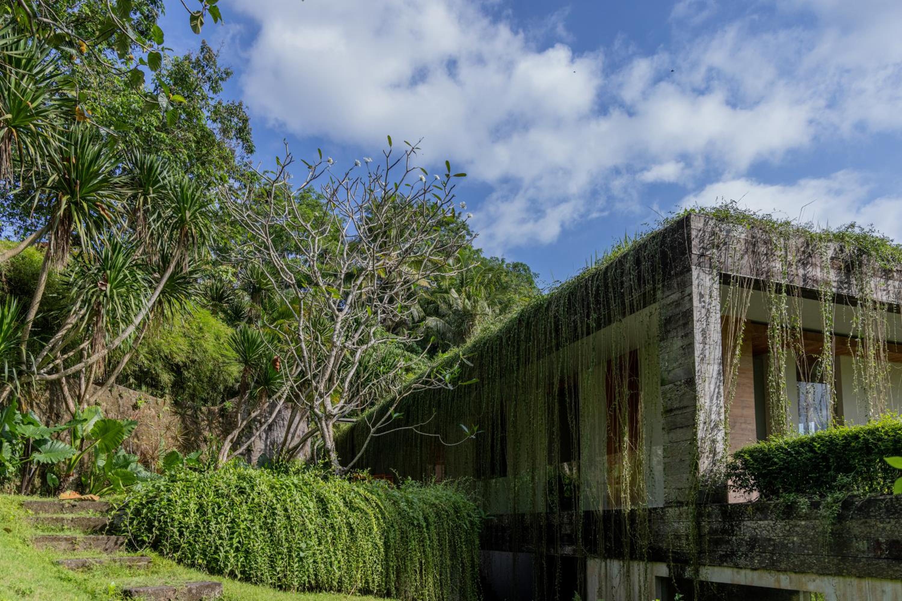 Chameleon Villa Bali
