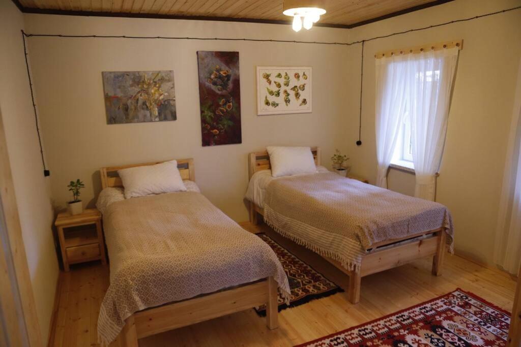 ROOM Micheli's Guest house Ivanovka