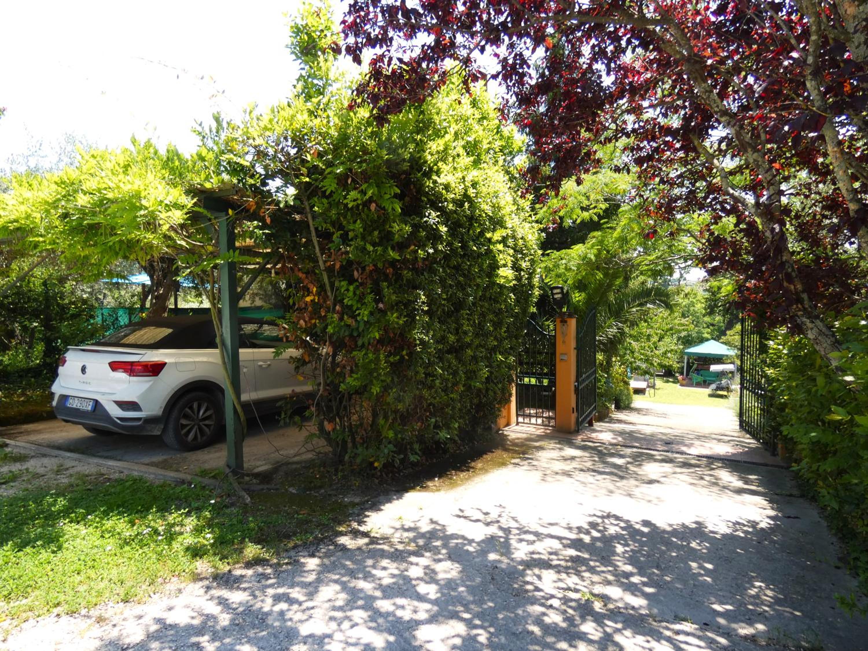 Photo 23