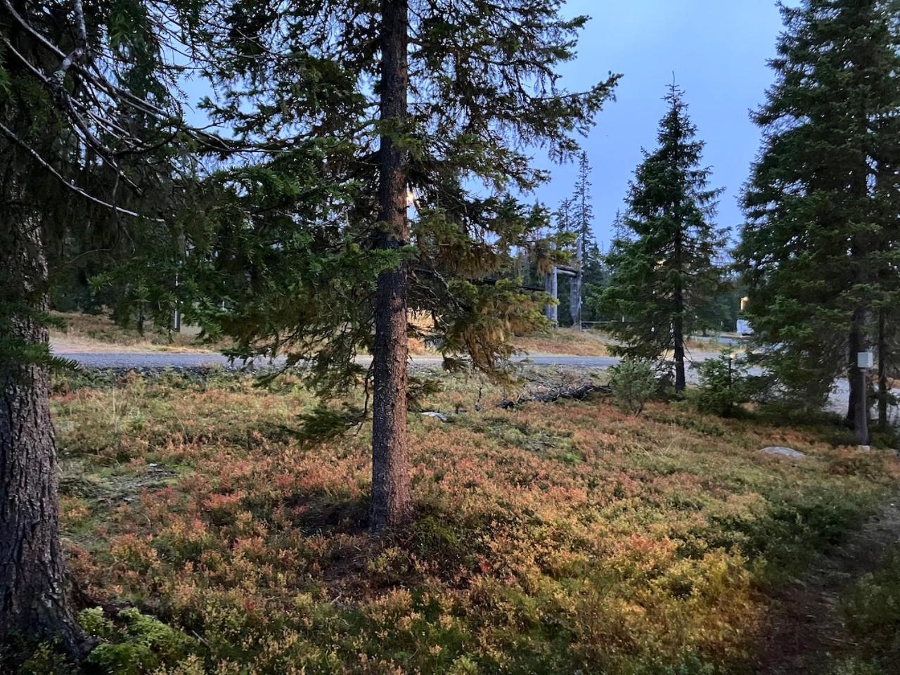 VILLA TUNDRA