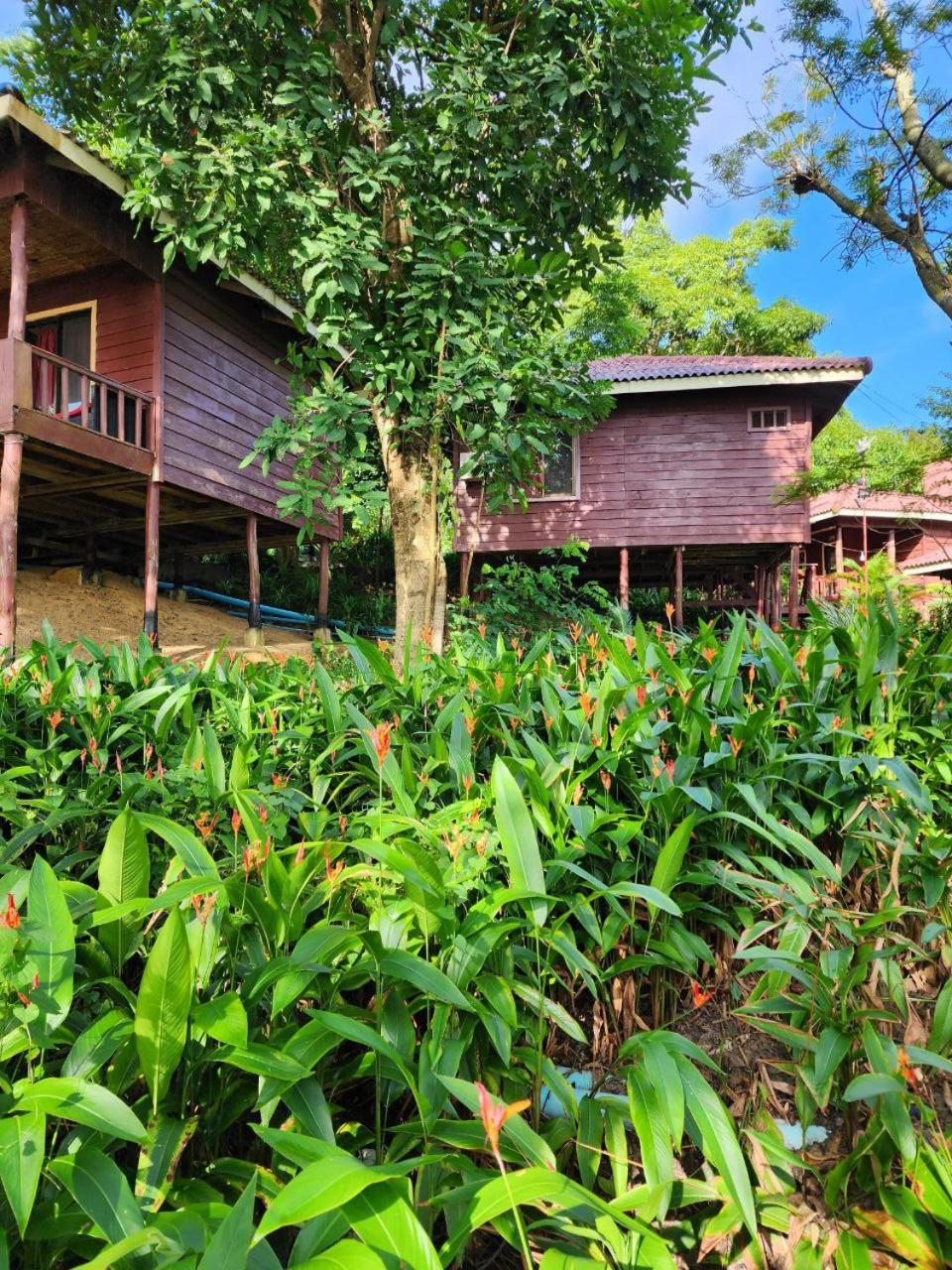 Photo 136