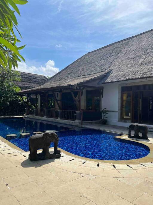 Bali Berg Villa, Sanur view 4