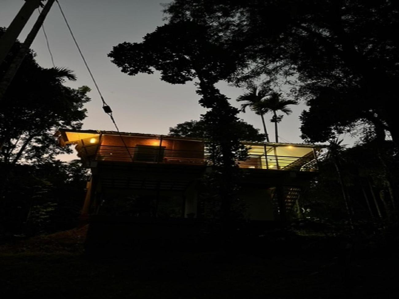 Photo 44