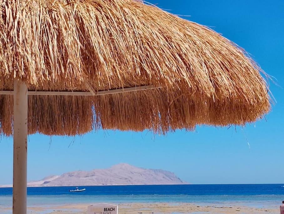 SUNNY BEACH resort apartment for rent in Montazah