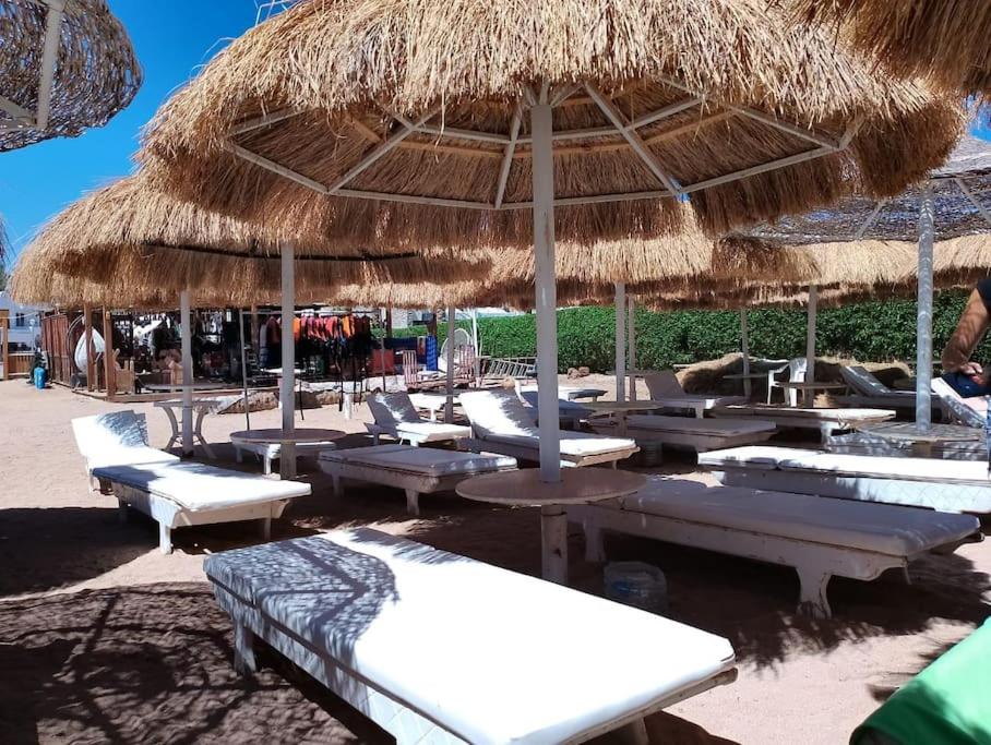 SUNNY BEACH resort apartment for rent in Montazah
