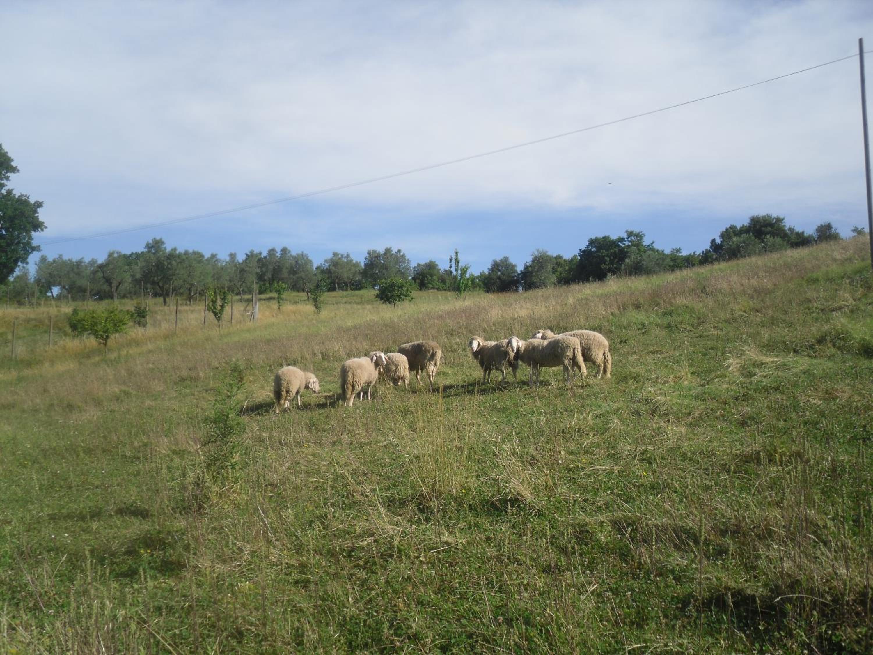 Photo 25