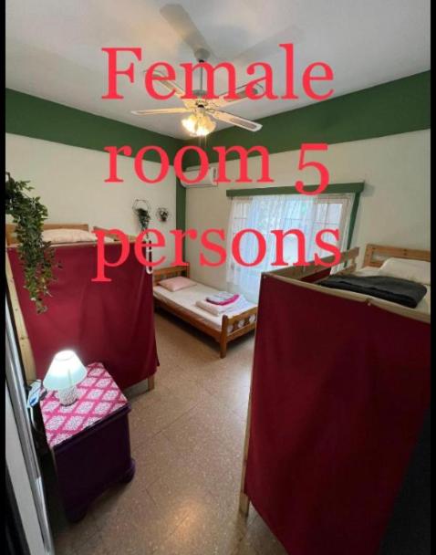 Past or Tail hostel