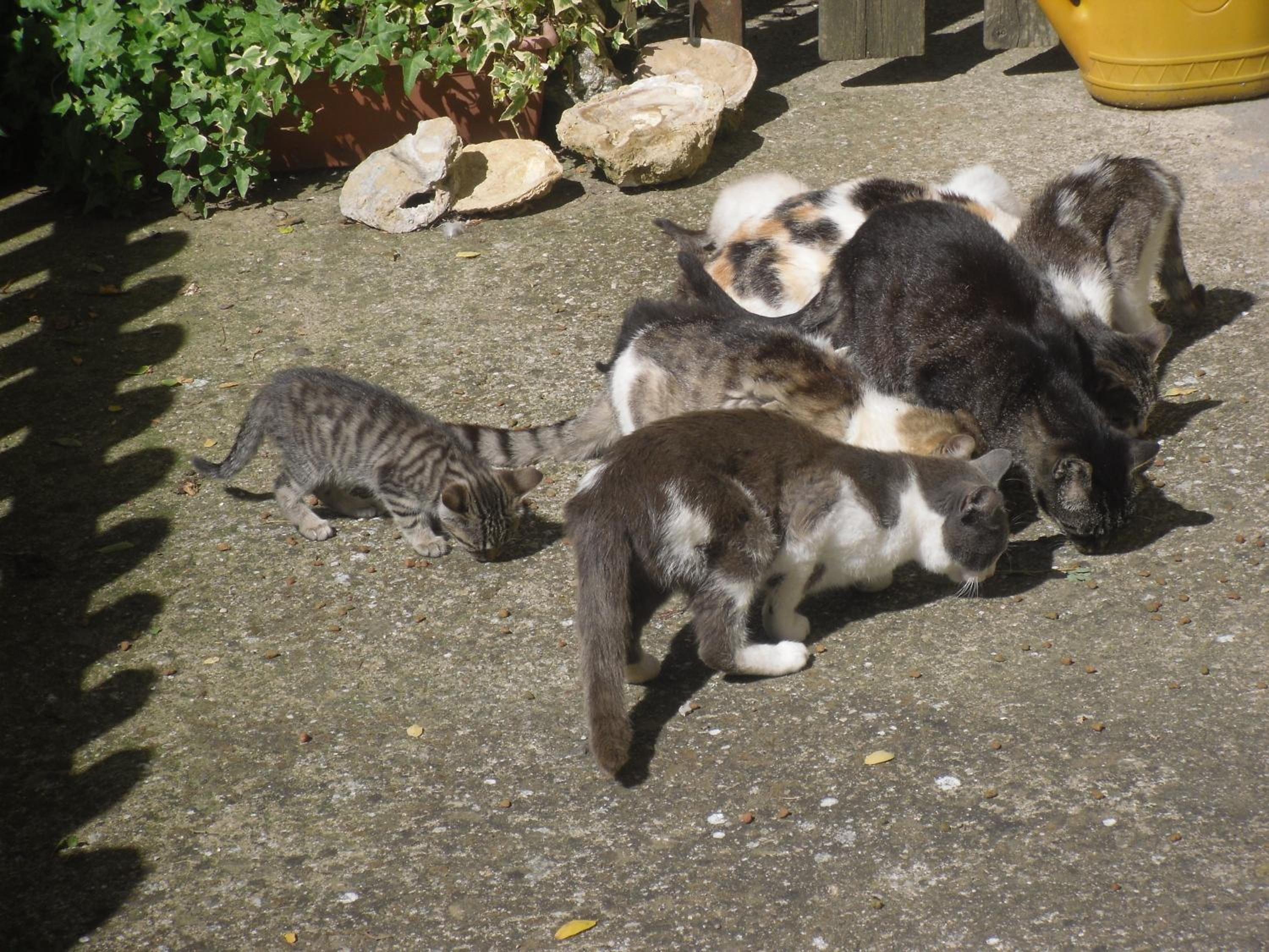 Photo 30